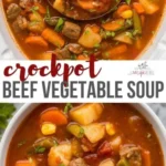 crockpot vegetable beef soup 2026 07 20 181454 512x1024 1
