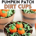 pumpkin patch dirt cups 2026 07 20 181423 512x1024 1