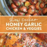 slow cooker honey garlic chicken and veggies 2026 07 20 181421 488x1024 1
