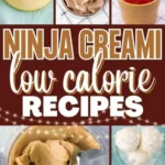 the best low calorie ninja creami recipes 2026 07 24 000254 466x1024 1